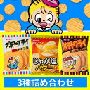 ポテトフライ 駄菓子 東豊製菓 じゃが塩バター フライドチキン カルビ焼き 全3種 詰め合わせ アソート 各7袋 合計21袋