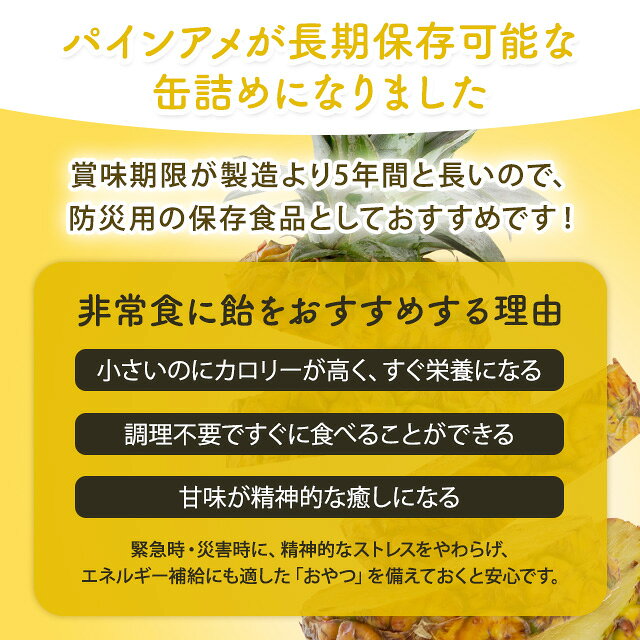 パイン飴 パインアメ パインアメ缶 保存缶 防災食 缶入り 非常食 防災食品 備蓄品 備蓄食 保存食 お菓子 備蓄 長期保存 noza-mart-10000121 ノザマート サンプル画像3