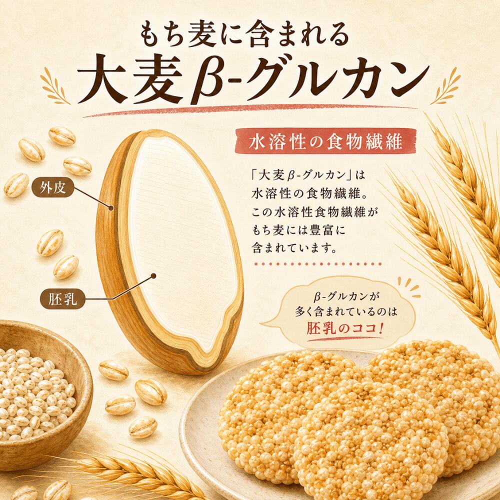 もち麦おせんべい 天乃屋 お菓子 おやつ もち麦 おせんべい 個包装 ヘルシー 食物...
