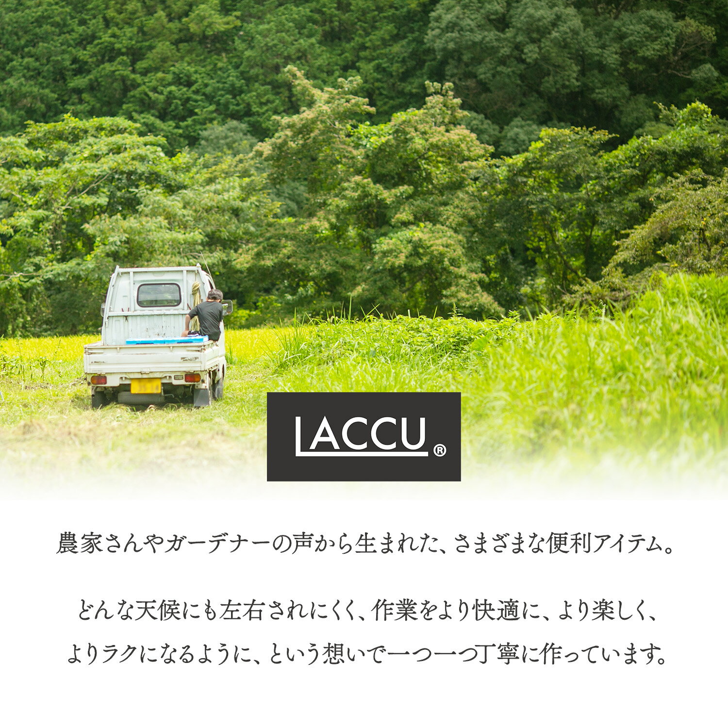 �ڳ�ŷ�����ѡ�SALE�оݡ�̵�ϥ���å�A