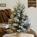 クリスマスツリー 卓上 北欧 おしゃれ 45cm 60cm ledライト付き 雪化粧 ヌード ミニクリスマスツリー ミニツリー 小さめ 卓上ツリー 雰囲気満々ヌードツリー 小型 クリスマス 飾り オーナメント 雪 白 足元 電池式 かわいい 部屋 商店 プレゼント