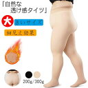 【送料無料】伸縮性 細見え効果 伝線しにくい ストッキング 裏起毛タイツ 黒 肌色 フェイクタイツ レディース 裏起毛 大きいサイズ