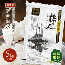 令和5年産 新鮮密封パック 無洗米 コシヒカリ お米 精米 ブナの水 長野県産 こしひかり 特別栽培米 白米 送料無料 ギフト 長期保存 5kg 10kg 20kg 30kg