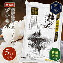 令和5年産 新鮮密封パック 無洗米 コシヒカリ お米 精米 ブナの水 長野県産 こしひかり 特別栽培米 白米 送料無料 ギフト 長期保存 5kg 10kg 20kg 30kg