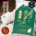 令和5年産 無洗米 お米 精米 白米 風さやか 長野県産 送料無料 ギフト 5kg 10kg 20kg 30kg