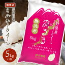 令和4年産 無洗米 お米 5kg 精米 ミルキークイーン 白米 5キロ 長野県産 ギフト 送料無料