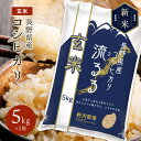 令和5年産 お米 玄米 コシヒカリ 長野県産 こしひかり 送料無料 ギフト 送料込み 5kg 10kg 20kg 30kg