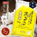 令和5年産 無洗米 コシヒカリ 白米 お米 こしひかり 送料無料 長野県産 北信産 精米 米 ギフト 5kg 10kg 20kg 30kg