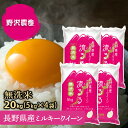 無洗米 ミルキークイーン 20kg 長野県産 令和2年産 送料無料 沖縄は別途送料2500円(税込) 5kg×4袋 【あす楽】 精米 お米 米 こめ 20キロ 翌日配達 ギフト 送料込み