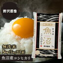 令和4年産 無洗米 コシヒカリ お米 5kg 精米 白米 魚沼産 こしひかり 米 5キロ 新潟 送料無料 ギフト