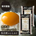 新米 令和3年産 無洗米 コシヒカリ 10kg 白米 お米 5kg × 2袋 精米 送料無料 【あす楽】 魚沼産 こしひかり 10キロ 翌日配達 ギフト 送料込み 沖縄は別途送料2500円(税込)