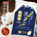 令和5年産 無洗米 コシヒカリ お米 こしひかり 精米 白米