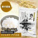 新米 令和2年 2020 【あす楽】【無洗米】 コシヒカリ 10kg(5kg×2) ブナの水 特別栽培 特A産地 長野県北信産 送料無料(沖縄は別途送料2500円(税込)) 精米 お米 米 こしひかり 減農薬