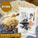 新米 令和2年 2020 【あす楽】 コシヒカリ 玄米10kg(5kg×2) ブナの水 特別栽培 特A産地 長野県北信産 送料無料(沖縄は別途送料2500円(税込)) こしひかり お米 米 減農薬