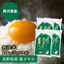 お米 無洗米 風さやか 20kg 5kg×4袋 長野県産 令和2年産 送料無料 【あす楽】 精米 20キロ 翌日配達 ギフト 送料込み 沖縄送料2500円