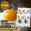 新米 令和3年産 無洗米 コシヒカリ 白米 お米 5kg × 4袋 精米 特別栽培米 20kg ブナの水 特A産地 長野県産 こしひかり 20キロ 送料無料 北信産 ギフト 【あす楽】翌日配達