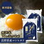 令和4年産 無洗米 コシヒカリ お米 10kg 白米 5kg×2袋 精米 長野県産 こしひかり 10キロ ギフト 送料無料