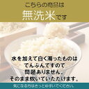 令和5年産 らくらく無洗米玄米 新鮮密封 お米 玄米 風さやか 長野県産 送料無料 ギフト 長期保存 備蓄 5kg 10kg 20kg 30kg 2