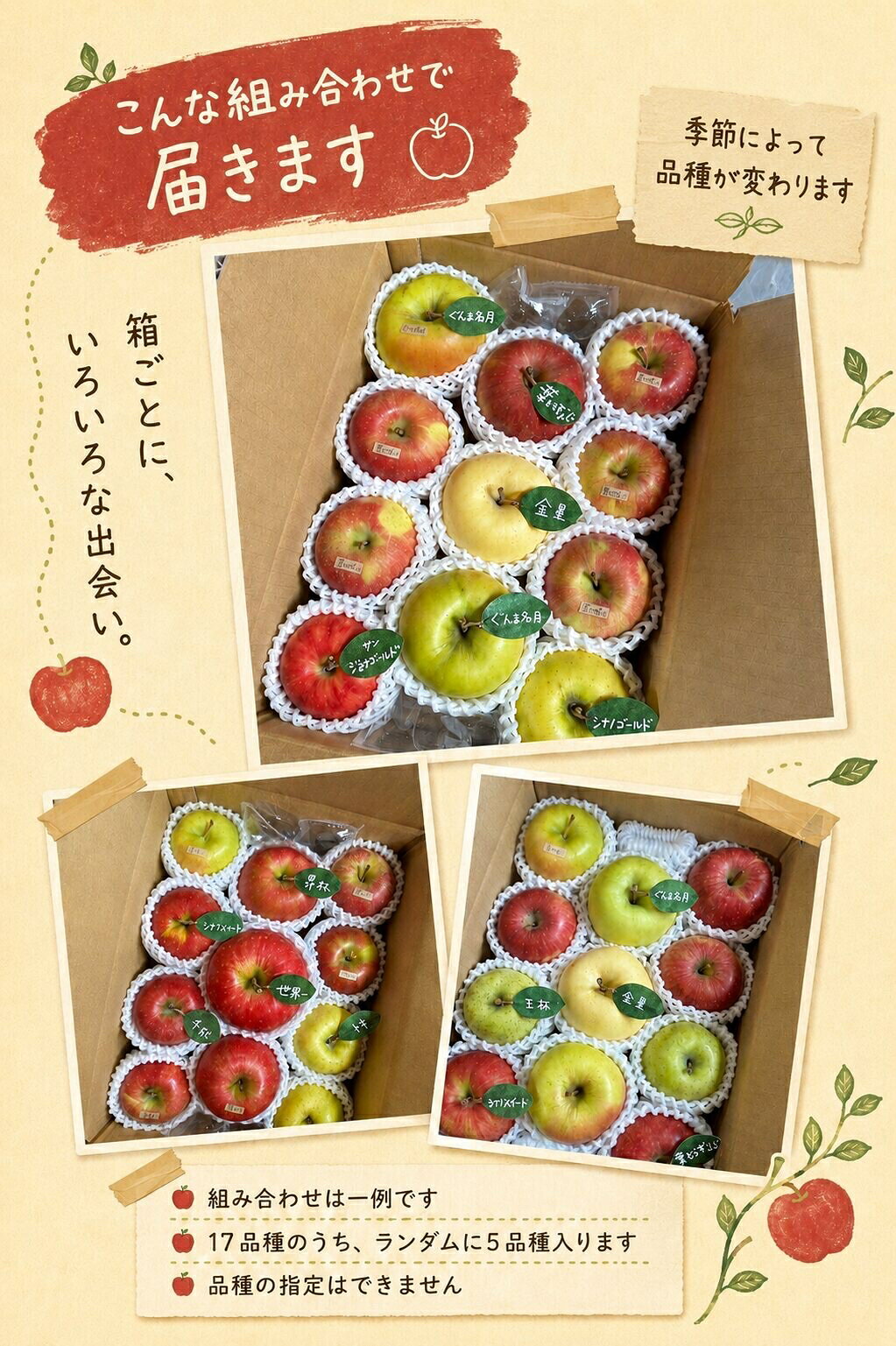 【訳あり】5品種 青森 りんご 葉とらず ふじ リンゴ 蜜 訳アリ 規格外 家庭用 不揃い フルーツ 果物 送料無料 人気 完熟 甘い 3kg 3キロ 青森県産 蜜入り 詰め合わせ ギフト ミックス 歳暮 nozawaringoen-10000003 のざわりんごえん 楽天市場店 サンプル画像2