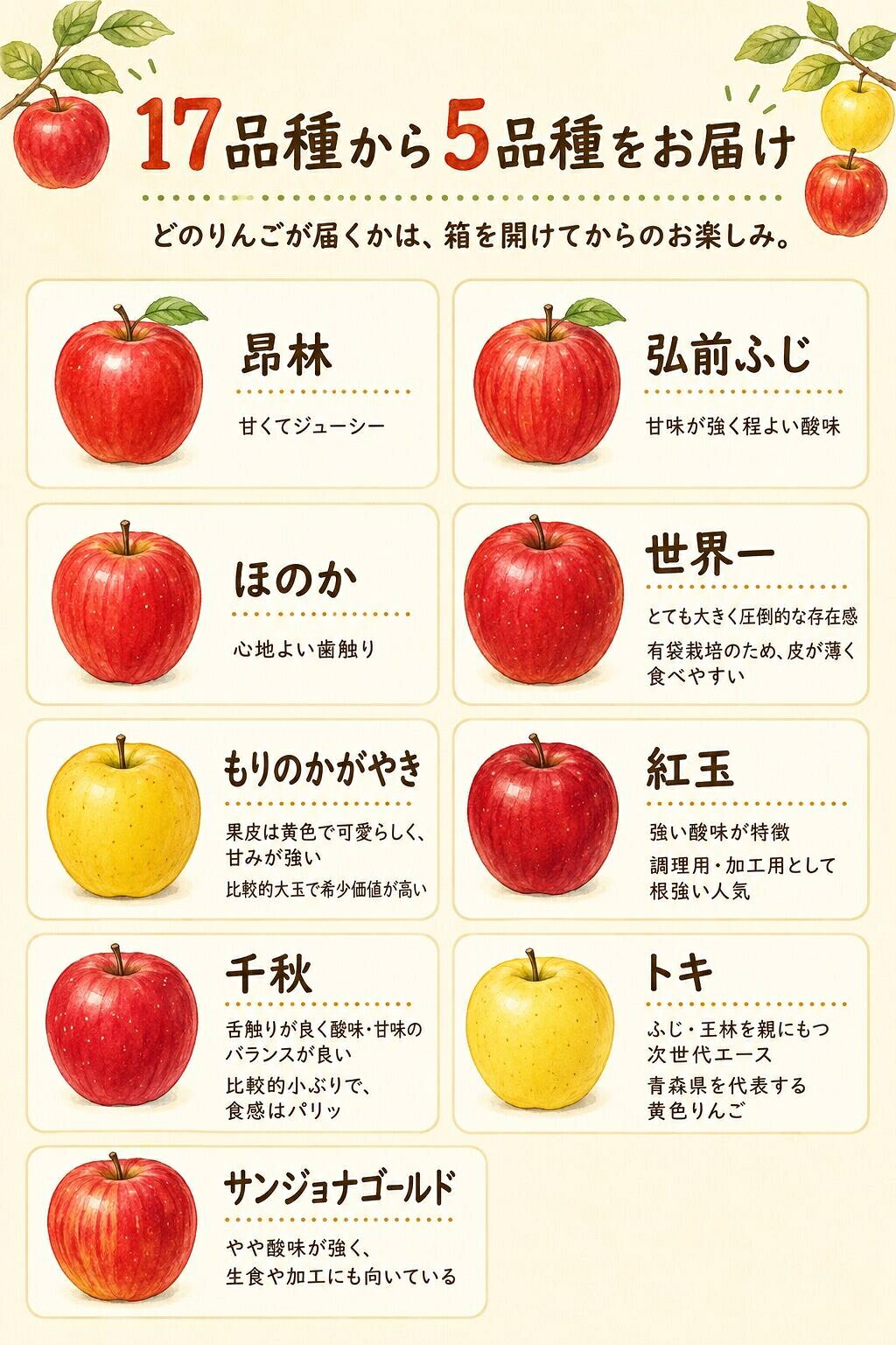 【訳あり】5品種 青森 りんご 葉とらず ふじ リンゴ 蜜 訳アリ 規格外 家庭用 不揃い フルーツ 果物 送料無料 人気 完熟 甘い 3kg 3キロ 青森県産 蜜入り 詰め合わせ ギフト ミックス 歳暮 nozawaringoen-10000003 のざわりんごえん 楽天市場店 サンプル画像3