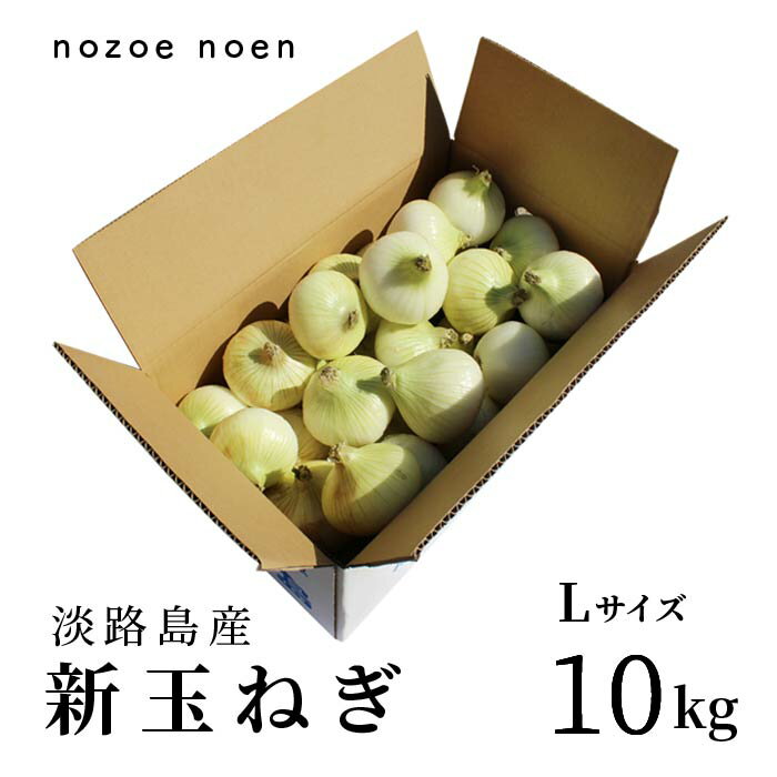 楽天淡路島野添農園淡路島産　令和6年産　新たまねぎ　早生品種　10kg　4～5月末限定　冷蔵保存推奨　生食向け　辛味が少なくて美味しい【送料無料】　淡路島野添農園　兵庫県産　農家直送　淡路島　玉ねぎ　新商品