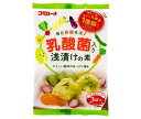 コーセーフーズ 乳酸菌入り 浅漬けの素 60g×10袋入| 送料無料 調味料 一般食品 漬物 素 乳酸菌