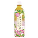 海東ブラザーズ 海東プレミアム 有機ジャスミン茶 500mlペットボトル×24本入| 送料無料 茶飲料 ジャスミン茶 有機JAS規格 PET