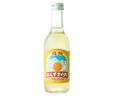 友桝飲料 信州杏サイダー 245ml瓶×24本入| 送料無料 サイダー 杏 ソーダ 炭酸 スパークリング あんず