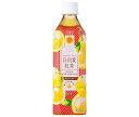 サンA 日向夏紅茶 HINATA TEA(ひなたティー) 500mlペットボトル×24本入×(2ケース)| 送料無料 紅茶飲料 PET