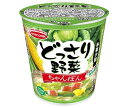 エースコック どっさり野菜 ちゃんぽん 58g×12個入| 送料無料 カップラーメン ちゃんぽん インスタント麺 ラーメン 即席