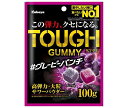 カバヤ タフグミグ レーピーパンチ 100g×6袋入×(2ケース)｜ 送料無料 お菓子 グミ 袋 TOUGH 高弾力大粒サワー