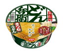 日清食品 日清のどん兵衛 きつねうどん [西] 95g×12個入｜ 送料無料 一般食品 インスタント食品 カップ麺 うどん