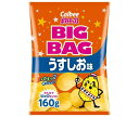 カルビー BIG BAG ポテトチップス うすしお味 160g×12袋入｜ 送料無料 お菓子 スナック菓子 Calbee 塩 ポテチ