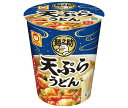 東洋水産 麺之助 天ぷらうどん 60g×12個入| 送料無料 うどん カップ麺 インスタント麺 即席めん