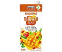 カゴメ 野菜生活100イエロー (3倍濃縮) 1L紙パック×6本入×(2ケース)| 送料無料 野菜 野菜ミックス 業務用 希釈用 黄色