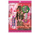リボン 生梅飴 90g×12袋入| 送料無料 お菓子 あめ キャンディー 飴 袋