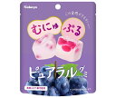 カバヤ ピュアラルグミ ぶどう 58g×8個入| 送料無料 お菓子 グミ 袋 グレープ 葡萄 ぶどう PURERAL
