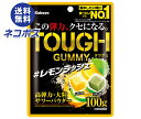 ネコポス カバヤ タフグミ レモンラッシュ 100g×6袋入| 全国送料無料 お菓子 グミ 袋 TOUGH 高弾力大粒サワー