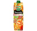 カゴメ 野菜生活100 Smoothie(スムージー) ビタミンスムージー 1000g紙パック×6本入×(2ケース)| 送料無料 カゴメ 野菜ジュース スムージ...