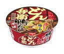 日清食品 日清のどん兵衛 鴨だしそば 104g×12個入| 送料無料 インスタント 即席 カップ麺 どん兵衛