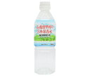 霧島湧水 山梨県甲州の5年保存水 500mlペットボトル×24本入×(2ケース)| 送料無料 備蓄 長期保存水 非常用 水(4)