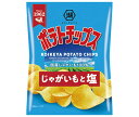 コイケヤ ポテトチップス じゃがいもと塩 60g×12袋入| 送料無料 お菓子 スナック菓子 しお ポテチ