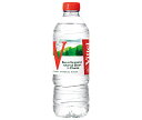 日仏貿易 Vittel(ヴィッテル) 500mlペットボトル×24本入×(2ケース)| 送料無料 ネラルウォーター 500ml 24本 水 天然水 ヴィッテル