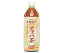 日本薬剤 グァバ茶 500mlペットボトル×24本入×(2ケース)| 送料無料 茶飲料 健康茶 PET お茶 ビタミンC