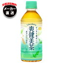 【全国送料無料・メーカー直送品・代引不可】コカコーラ 爽健美茶 300mlペットボトル×24本入| お茶 ペットボトル 爽健美茶 カフェインレス(4)