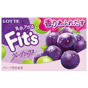 ロッテ Fit’s グレープミックス 12枚×10個入×(2ケース)| 送料無料 お菓子 ガム フィッツ ぶどう 葡萄 ブドウ