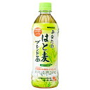 サンガリア あなたのはと麦ブレンド茶 500mlペットボトル×24本入×(2ケース)| 送料無料 お茶 ペットボトル ハトムギ カフェインゼロ ブレンド茶