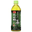サンガリア あなたの濃いお茶 500mlペットボトル×24本入×(2ケース)| 送料無料