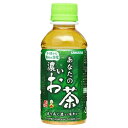 サンガリア あなたの濃いお茶 200mlペットボトル×30本入×(2ケース)| 送料無料 お茶 緑茶 PET
