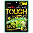 カバヤ タフグミ バウンシーマスカット 100g×6袋入×(2ケース)| 送料無料 お菓子 グミ 袋 TOUGH 高弾力 マスカット